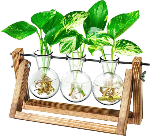 Glass Planter Bulb Vase with Retro Solid Wooden Stand and Metal Swivel Holder for Hydroponics Plants